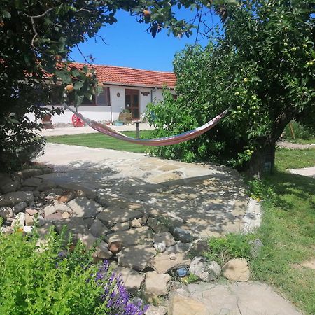 Calla Retreat Vezenkovo Exterior foto